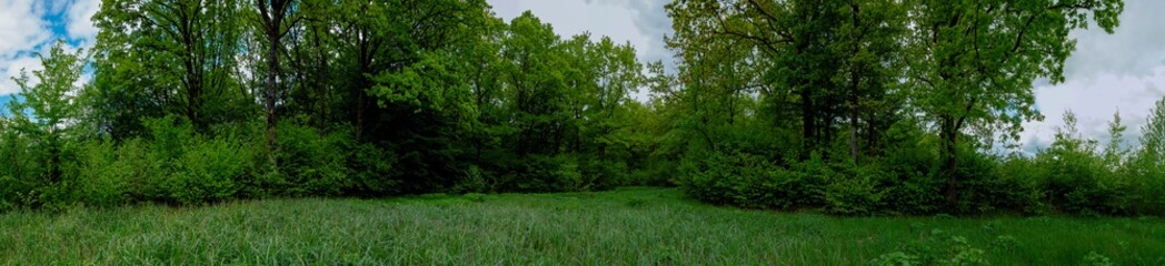 Obraz premium Panoramic nature landscape, soft pastel colors, dream nature, sunset autumn background, peaceful amazing nature panorama