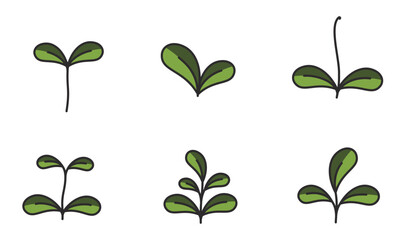 Sprouts with rounded leaves in green colors. Seedling and planting design elements. Isolated vector images