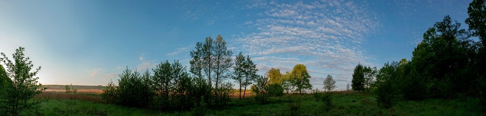 Spring forest and field on a background of blue sky
