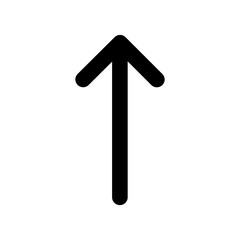Up Arrow Line icon