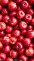 Fresh ripe red apples as background, top view