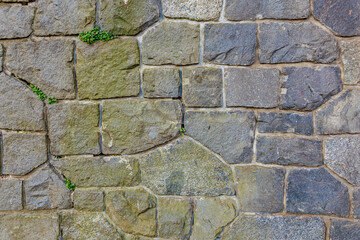 Close-up of weathered stone wall with green moss and lichen growth. March 17, 2025, Konopiste Castle, Czech Republic