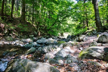 渓流