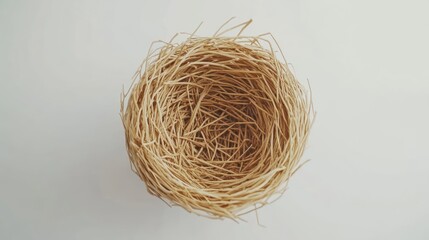 Empty Bird's Nest