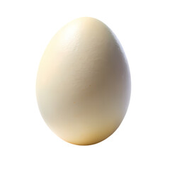 A Single Creamy White Egg isolated on transparent baackground