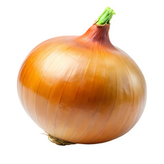 Single Yellow Onion