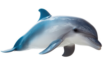 Fototapeta premium Majestic Dolphin Graceful Aquatic Mammal in Ocean Habitat