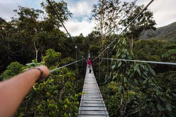 ecotourism in the forest