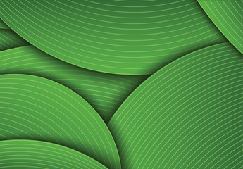 Green Background with aesthetic stacked and shaded layers