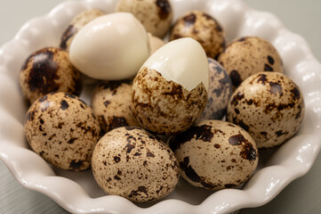Fresh small spotted partridge or quail bird eggs uncooked and cooked