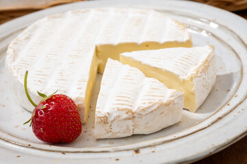 French soft cheeses collection, creamy cow's milk cheese brie with white mold, France