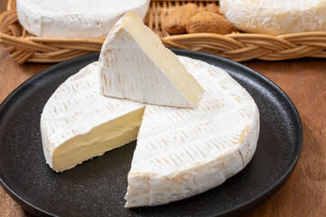 French soft cheeses collection, creamy cow's milk cheese brie with white mold, France