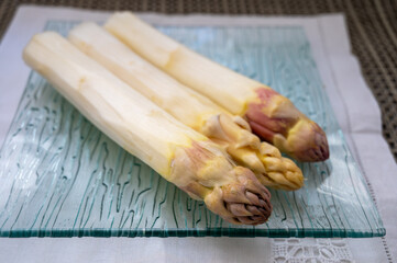 New season, fresh raw French violet-white asparagus vegetables large size, ripe and tasty