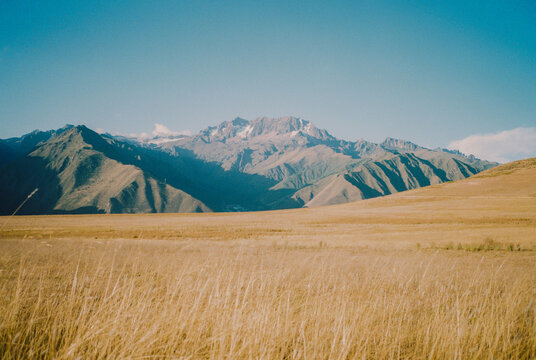Grassland in Peruvian Andes 