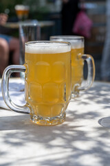 Belgian beer in glasses in old brewery in Bruges, light or dark, tasty beverage, lunch with beer, tourist destination, Flanders, Belgium