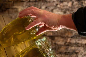 Manual riddling of champage bottles as part of traditional method of sparkling wine production....