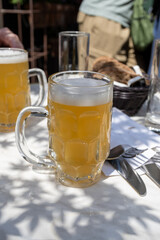 Belgian beer in glasses in old brewery in Bruges, light or dark, tasty beverage, lunch with beer, tourist destination, Flanders, Belgium