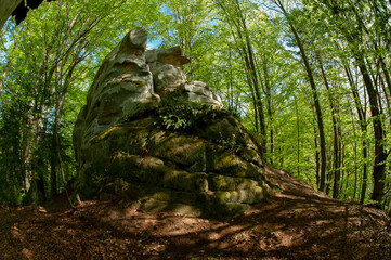 A beautiful panorama of rocks and young trees from the top of the National Reserve. Spring in the...