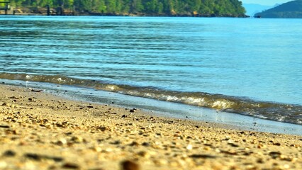 The beauty of the tropical sea unfolds along the shore, where gentle waves kiss the soft sand, and...