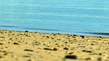 With the warm sun shining overhead, the tropical sea sparkles in vibrant blues and greens, while...
