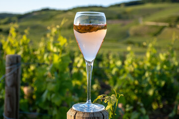 Sunset with glass of rose or pink sparkling wine brut, grand reserve, champagne in Ay-Champagne on...
