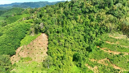 An aerial perspective of agricultural land use in a mountainous area, where rows of crops stand out...