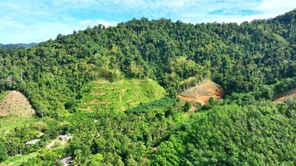 The image highlights agricultural land use, with cultivated fields sitting among vibrant green hills, showcasing a harmonious balance between farming and nature in a sustainable environment.
