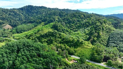 Captured from above, the agricultural land use reveals fields of crops spread across the lush hills, demonstrating efficient farming practices while blending seamlessly with the surrounding greenery.
