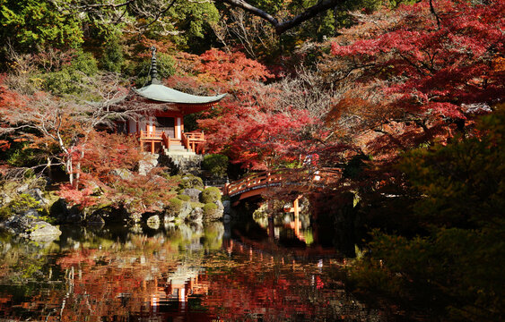 Autumn scenery in Temple
