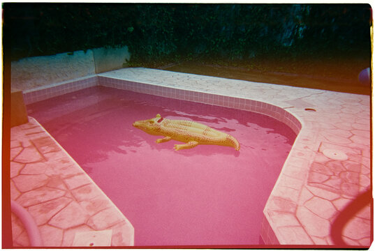 crocodile-shaped floaty on a pool, experimental, 35mm