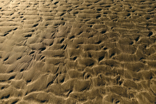 wet sea sand - Powered by Adobe