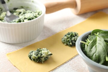 Making ravioli with cottage cheese and spinach at light table, closeup