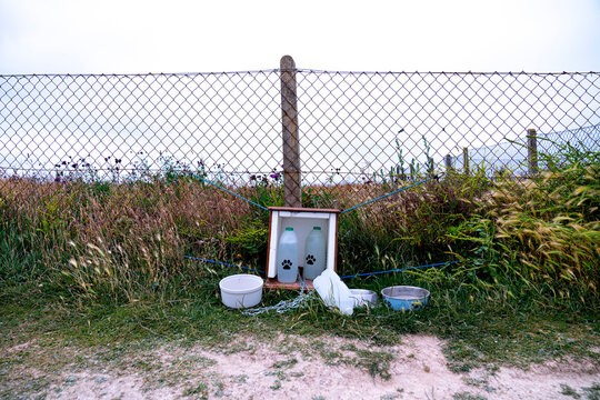 A dog drinking station