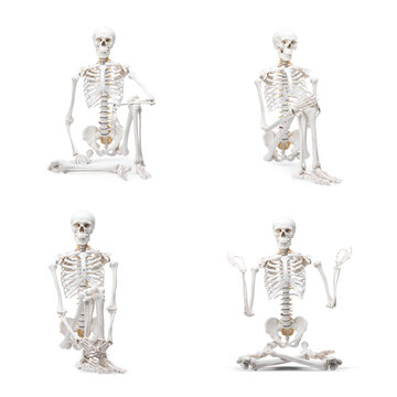 Artificial human skeleton model in different poses isolated on white, set