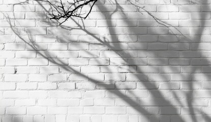 Bare tree branches cast shadows on a white brick wall