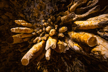 Cave of the Mounds Interior with Illuminated Formations