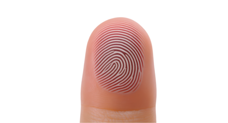 Detailed Fingerprint Macro Shot on Transparent Background for Security or Identity Verification Use Realistic Clipart
