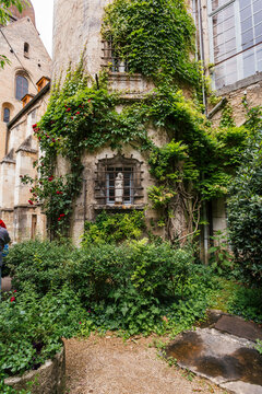 Vine on Church