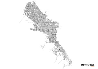 Black & White Monterrey: Urban Road Network