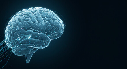 Detailed 3D illustration of the human brain, black background and text space on the right