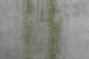 Gray walls covered in moss are good for backgrounds