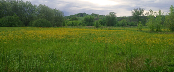 Beautiful landscape during rain against the background of sky and trees and spring grass, cloudy...