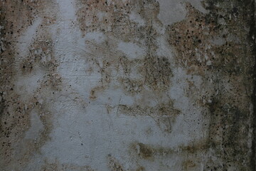 Gray walls covered in moss are good for backgrounds