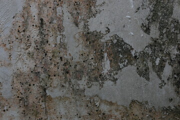 Gray walls covered in moss are good for backgrounds