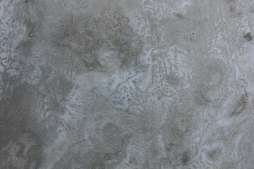 Obraz premium Gray walls covered in moss are good for backgrounds