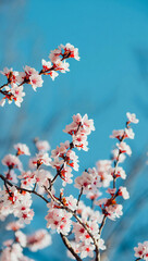  Stunning Mobile Wallpaper with Abstract Design

