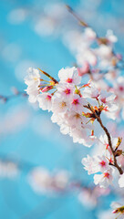  Stunning Mobile Wallpaper with Abstract Design

