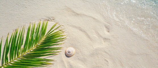 Serene Beach Scene with Palm Leaf and Seashell on Soft Sand Along Gentle Ocean Waves