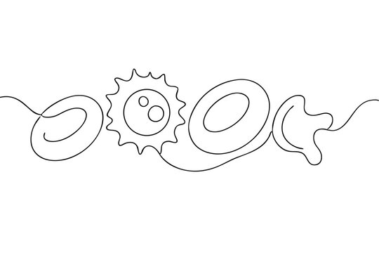 Vector one-line illustration of blood cells in minimal anatomical style &mdash; red blood cells, white blood cells, and platelets in black and white contour for medical and educational use