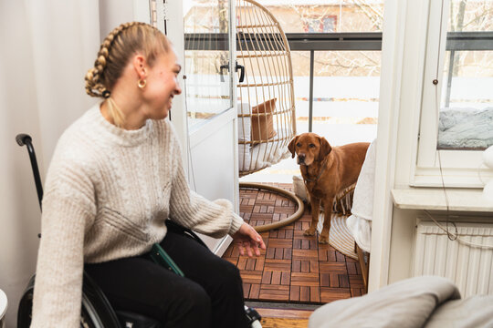 Smiling Woman in Wheelchair Looking at Guide Dog on Balcony
